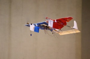 IMG_5509