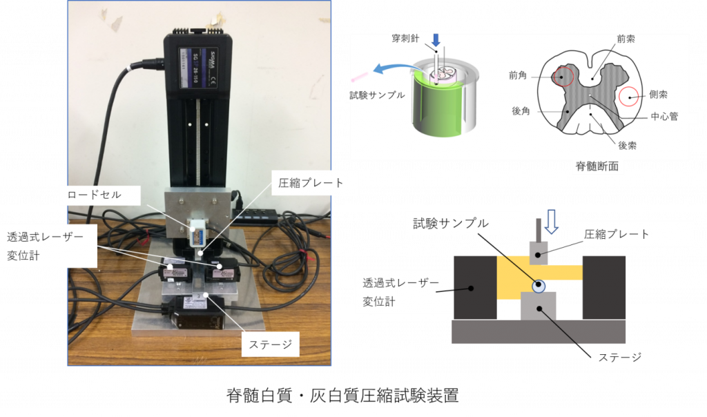 BioMaterial2